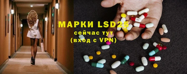 амф Надым