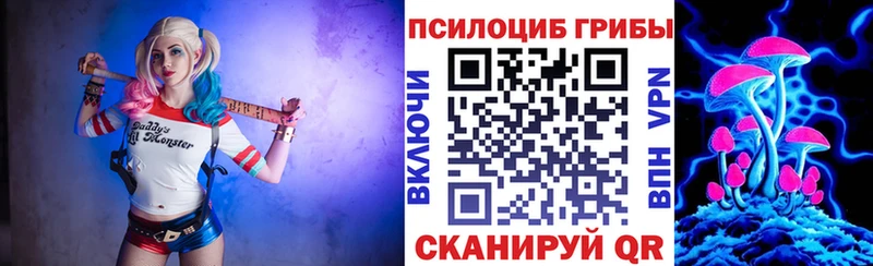 Псилоцибиновые грибы Magic Shrooms  Купить  Мценск 